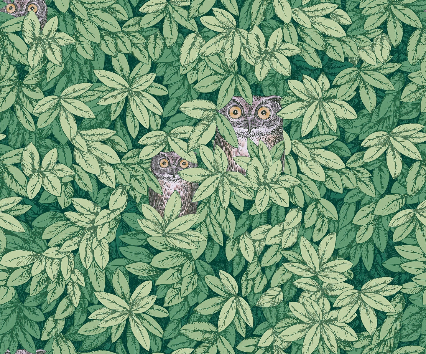 Foglie e Civette Wallpaper - Forest Green - 123/11054 - Cole & Son - Premier Wallcovering