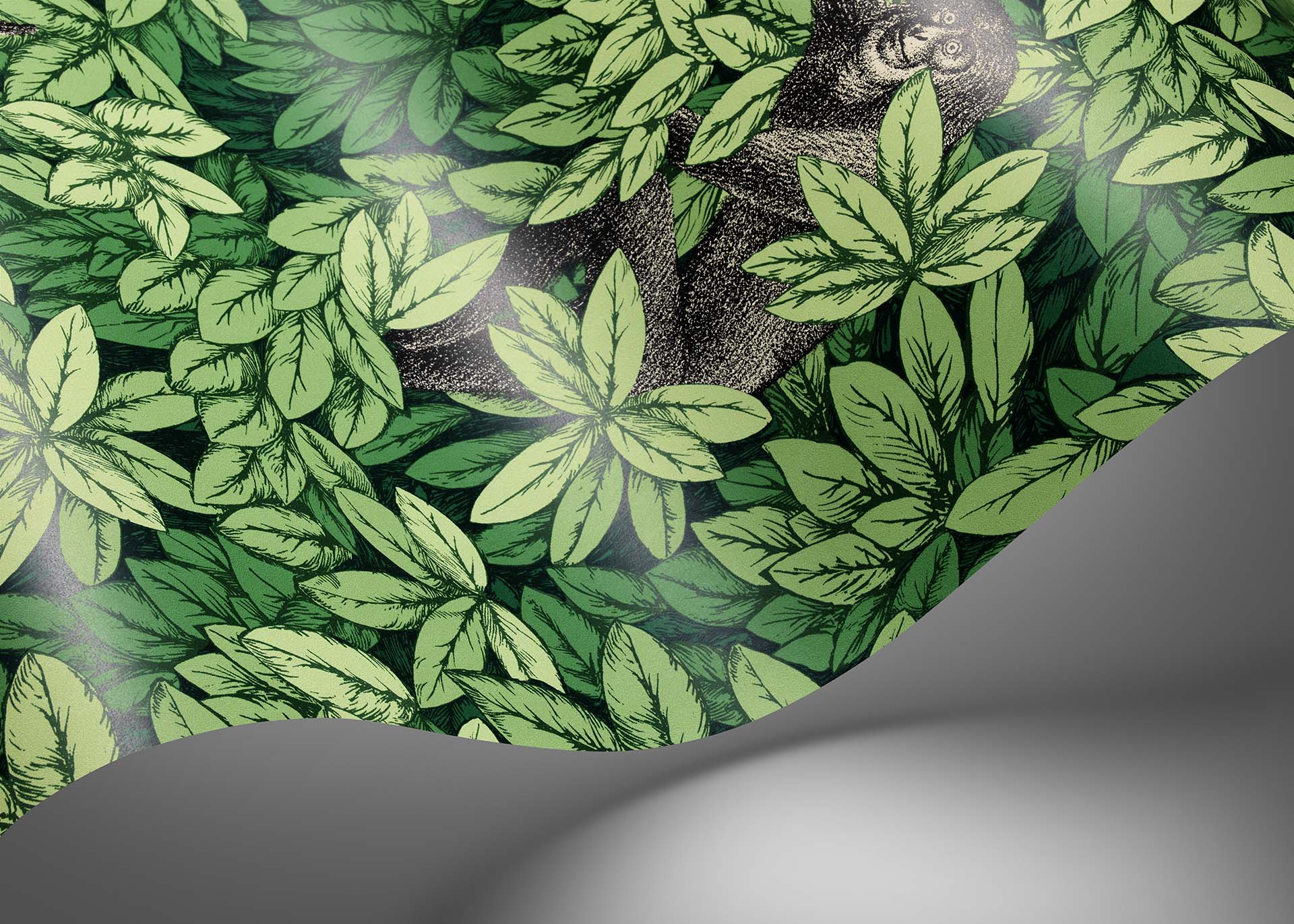 Foglie e Scimmie Wallpaper - Forest Green - 123/10049 - Cole & Son - Premier Wallcovering