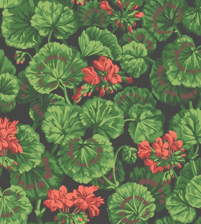 Geranium Wallpaper - Rouge & Leaf Greens on Black - 117/11033 - Cole & Son - Premier Wallcovering