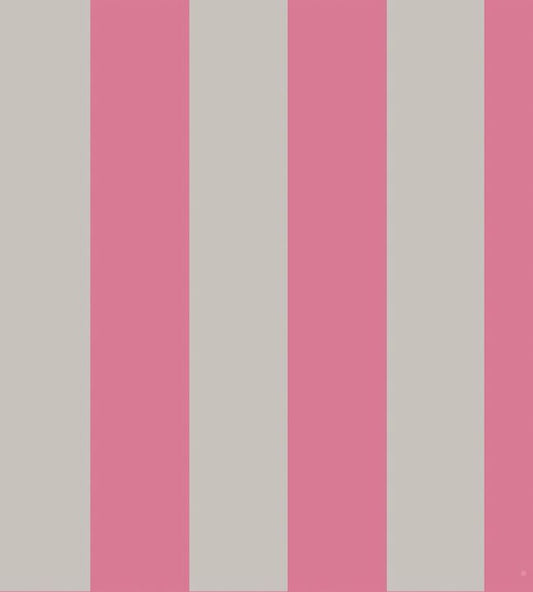 Glastonbury Stripe Wallpaper - Fuchsia & Linen - 110/6031 - Cole & Son - Premier Wallcovering