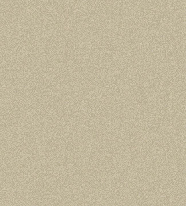 Goldstone Wallpaper - Metallic Gilver on Stone - 107/9042 - Cole & Son - Premier Wallcovering