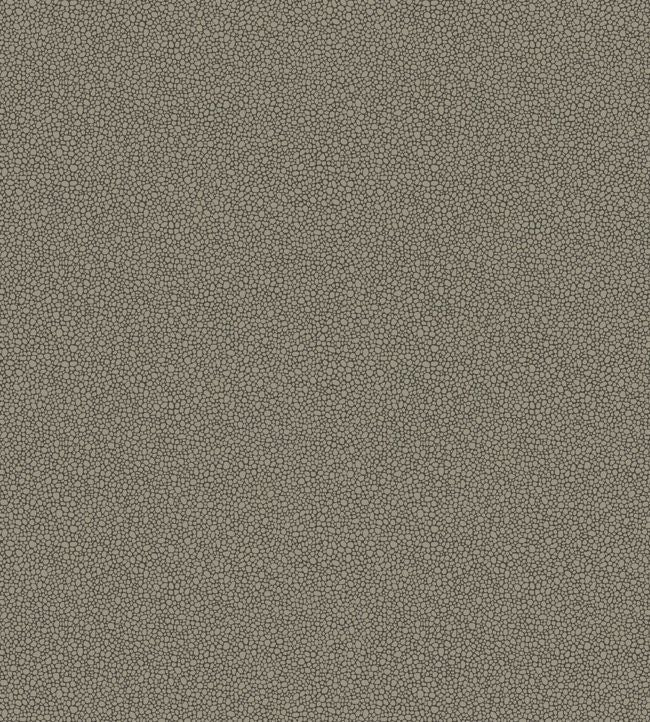 Goldstone Wallpaper - Metallic Silver on Charcoal - 107/9043 - Cole & Son - Premier Wallcovering