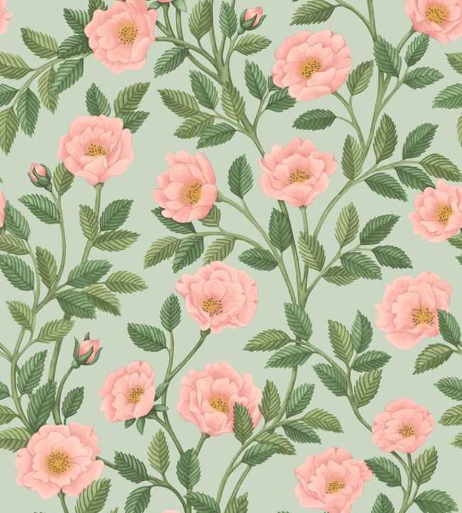 Hampton Roses Wallpaper - Rose & Leaf Green on Duck Egg - 118/7014 - Cole & Son - Premier Wallcovering