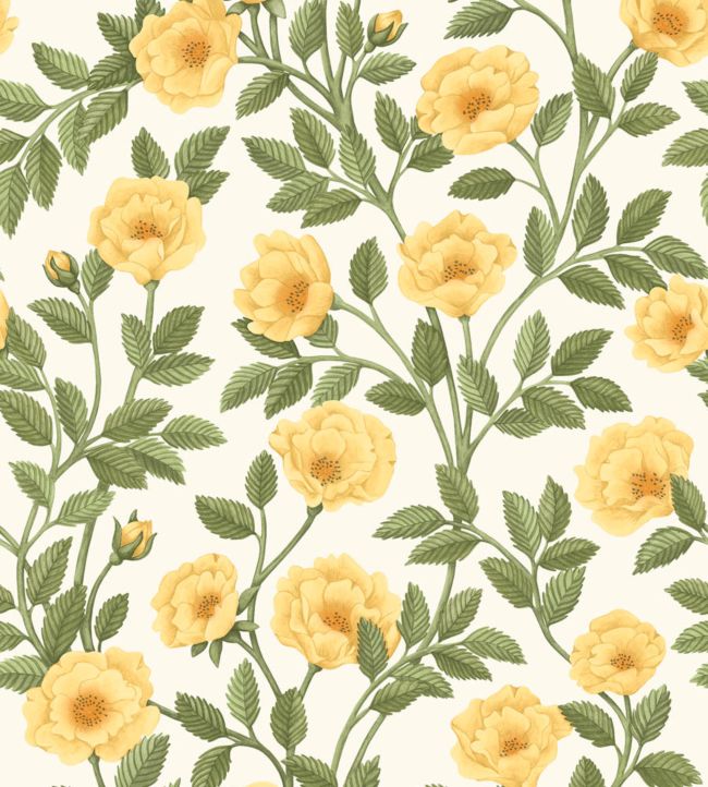 Hampton Roses Wallpaper - Marigold & Olive Green on White - 118/7015 - Cole & Son - Premier Wallcovering