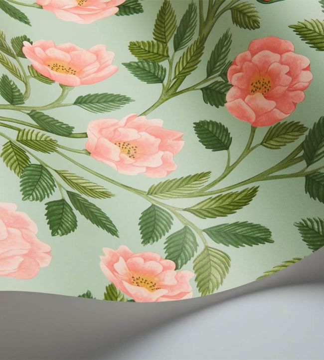 Hampton Roses Wallpaper - Rose & Leaf Green on Duck Egg - 118/7014 - Cole & Son - Premier Wallcovering