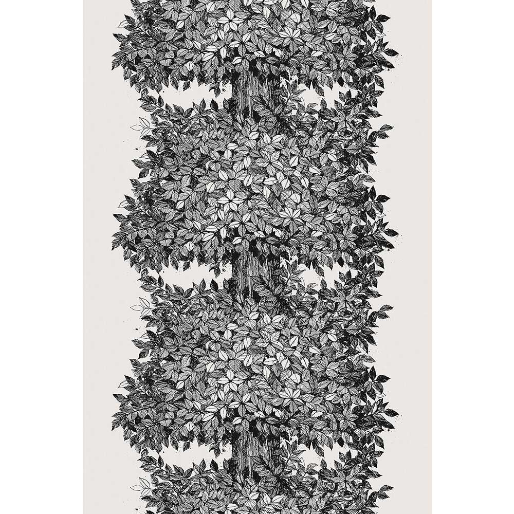 Hassel Panel Wall Mural - Ivory / Black - Boråstapeter - 1950 - Premier Wallcovering