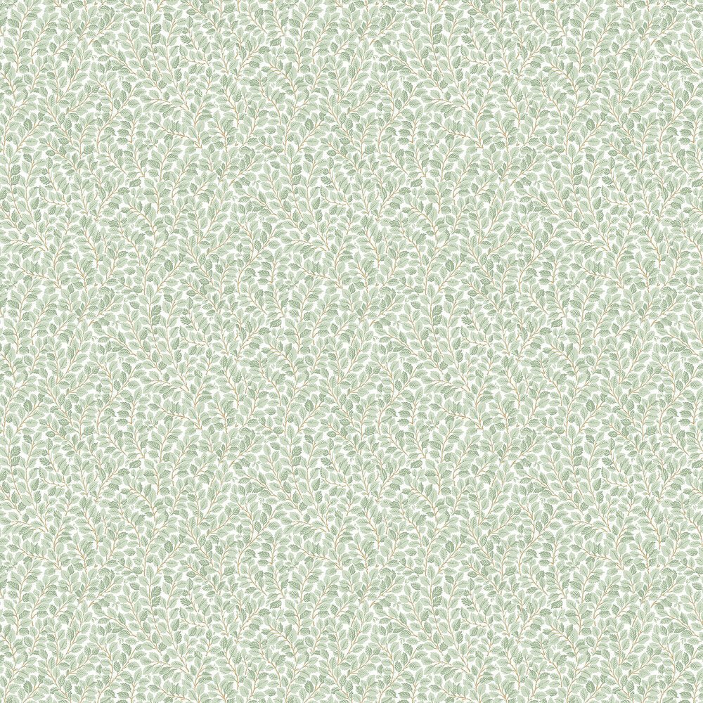 Hazel Wallpaper - Light Green - Boråstapeter - 7662 - Premier Wallcovering