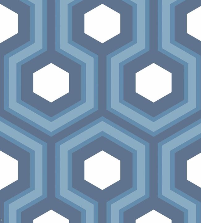Hicks' Grand Wallpaper - Blue & White on Navy - 95/6035 - Cole & Son - Premier Wallcovering