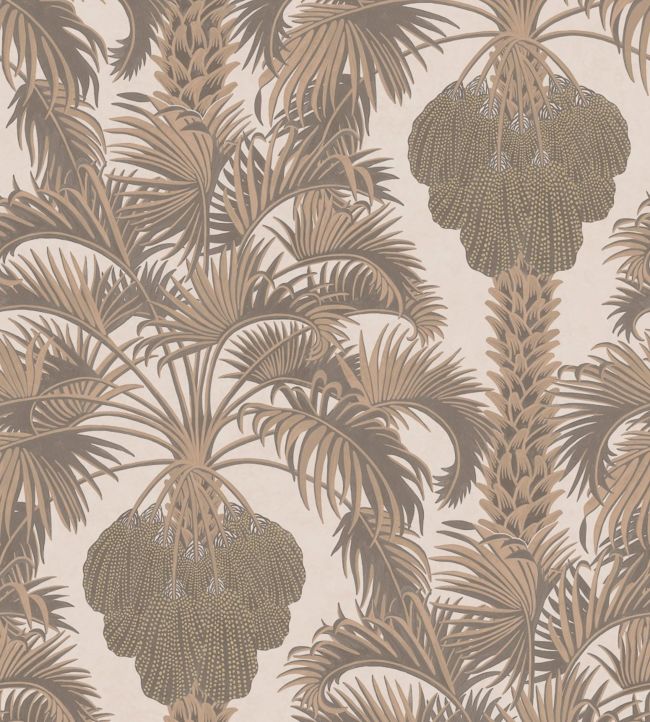 Hollywood Palm Wallpaper - Metallic Rose Gold on Shell - 113/1002 - Cole & Son - Premier Wallcovering