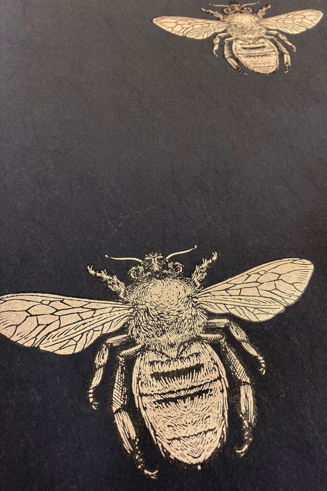 Honey Bee Wallpaper - Black & Gold on Swift Black - Timorous Beasties - TB/HYB/6008/04 - Premier Wallcovering