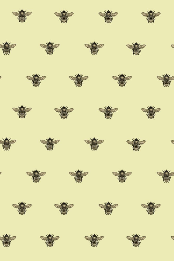 Honey Bee Wallpaper - Black & Gold on Primrose - Timorous Beasties - TB/HYB/6007/03 - Premier Wallcovering