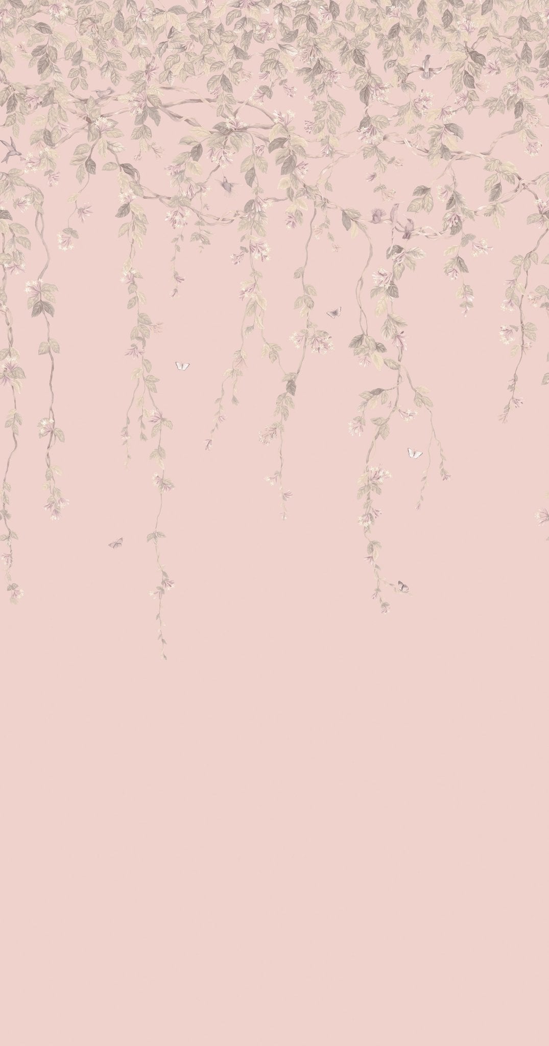 Hummingbirds Flora Wallpaper - Stone on Rose Quartz - 124/2014 - Cole & Son - Premier Wallcovering