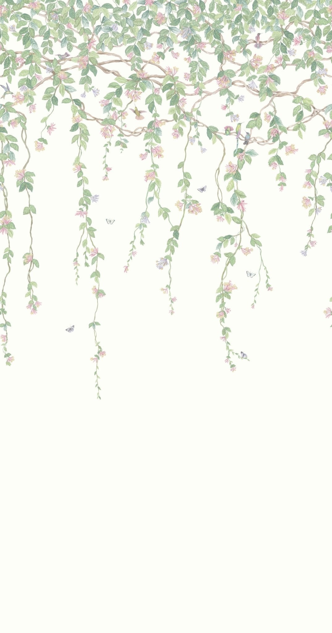 Hummingbirds Flora Wallpaper - Blush, Sage, & Mulberry on Cream - 124/2008 - Cole & Son - Premier Wallcovering