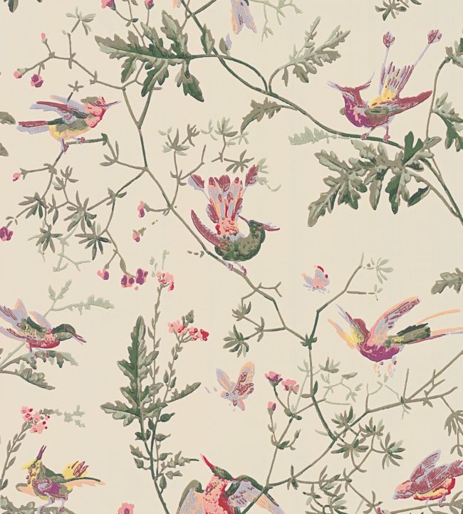 Hummingbirds Wallpaper - Classic Multi & Old Olive on Cream - 100/14071 - Cole & Son - Premier Wallcovering