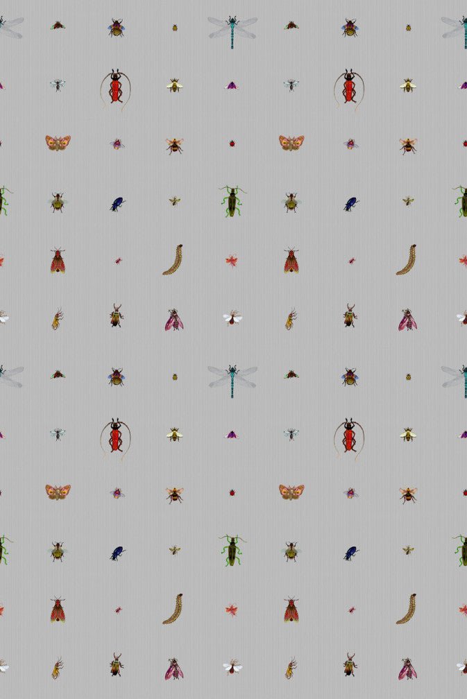 Insect Grid Wallpaper - Grey - Timorous Beasties - TB/GRID/MATT/02 - Premier Wallcovering