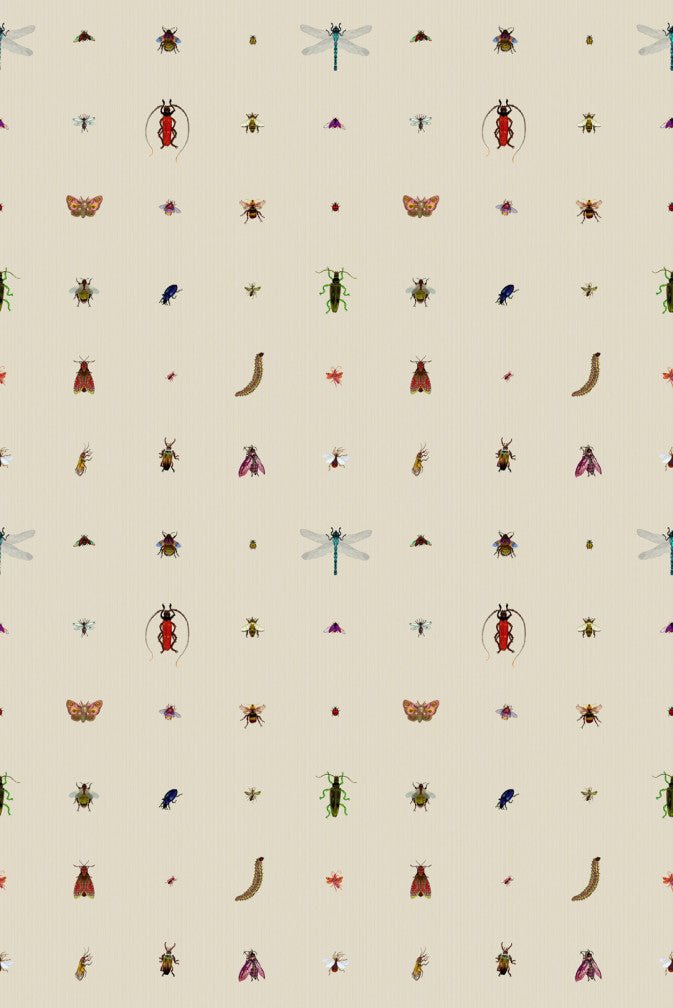 Insect Grid Wallpaper - Antique - Timorous Beasties - TB/GRID/MATT/01 - Premier Wallcovering