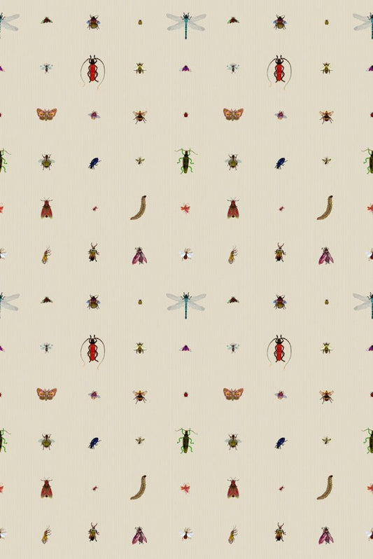 Insect Grid Wallpaper - Antique - Timorous Beasties - TB/GRID/MATT/01 - Premier Wallcovering