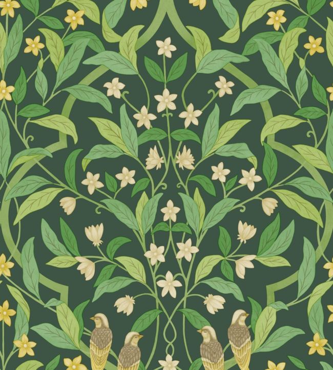 Jasmine & Serin Symphony Wallpaper - Yellow & Leaf Green on Dark Forest Green - 117/10029 - Cole & Son - Premier Wallcovering