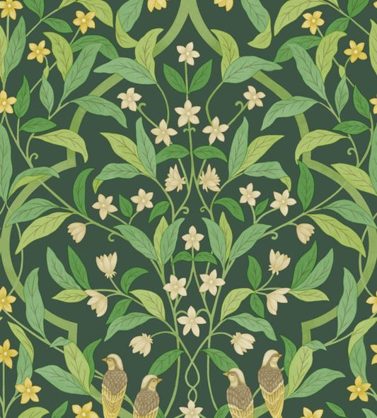 Jasmine & Serin Symphony Wallpaper - Yellow & Leaf Green on Dark Forest Green - 117/10029 - Cole & Son - Premier Wallcovering