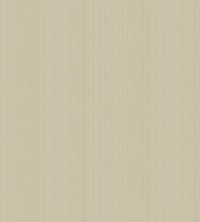 Jaspe Wallpaper - Mica Stone - 106/3046 - Cole & Son - Premier Wallcovering