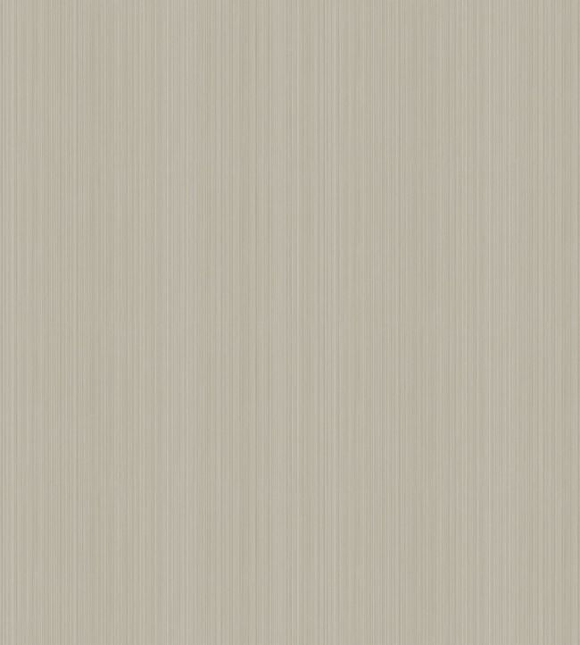 Jaspe Wallpaper - Mica Taupe - 106/3047 - Cole & Son - Premier Wallcovering