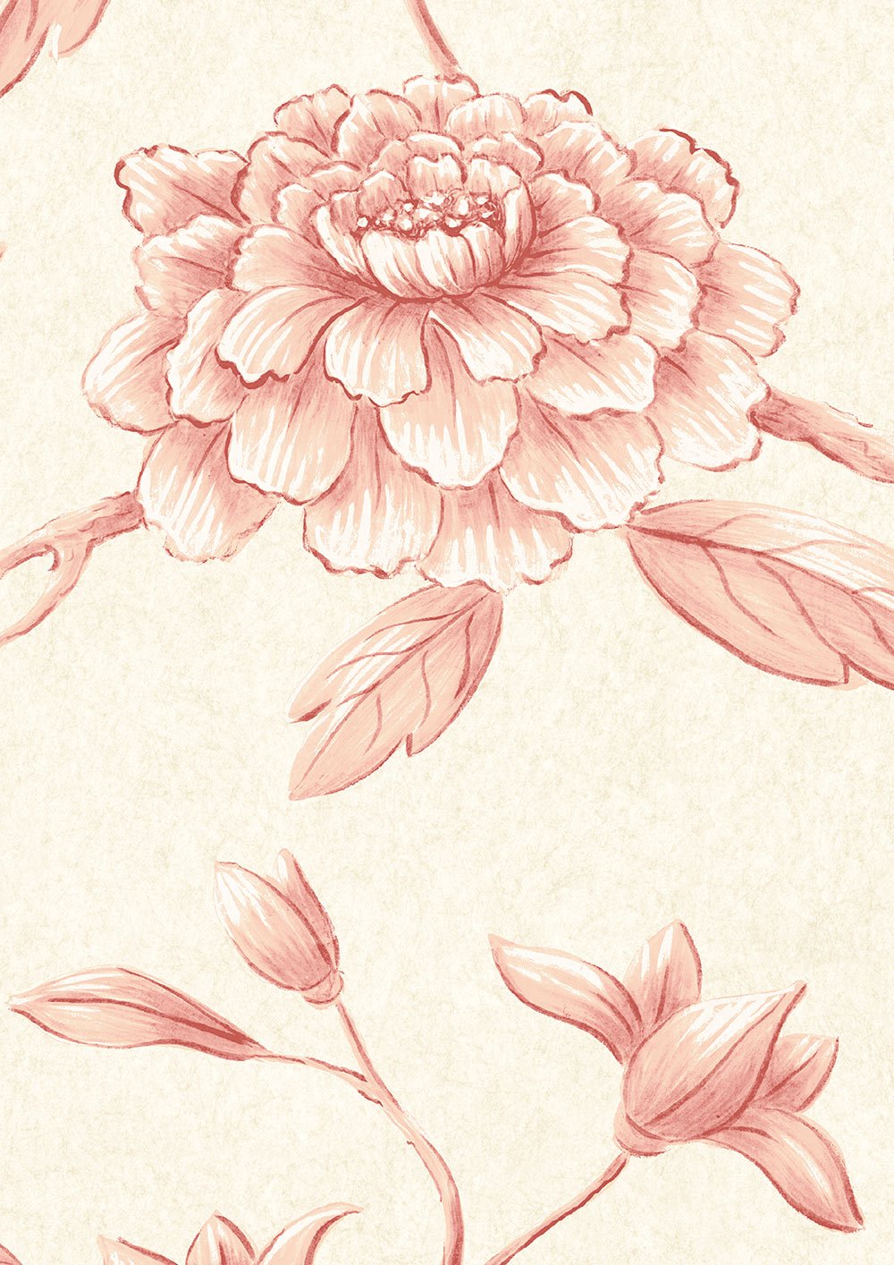 Jasper Peony Wallpaper - Rose - Lewis & Wood - Premier Wallcovering