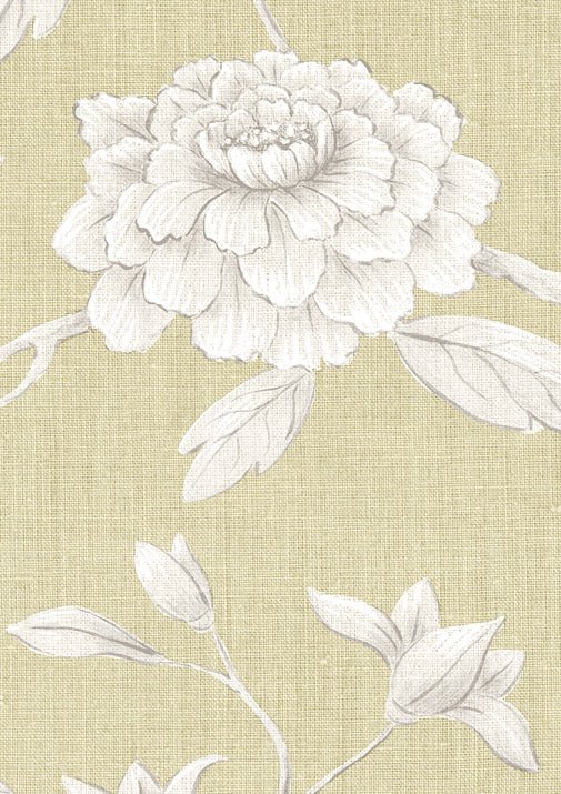 Jasper Peony Wallpaper - Mimosa - Lewis & Wood - Premier Wallcovering