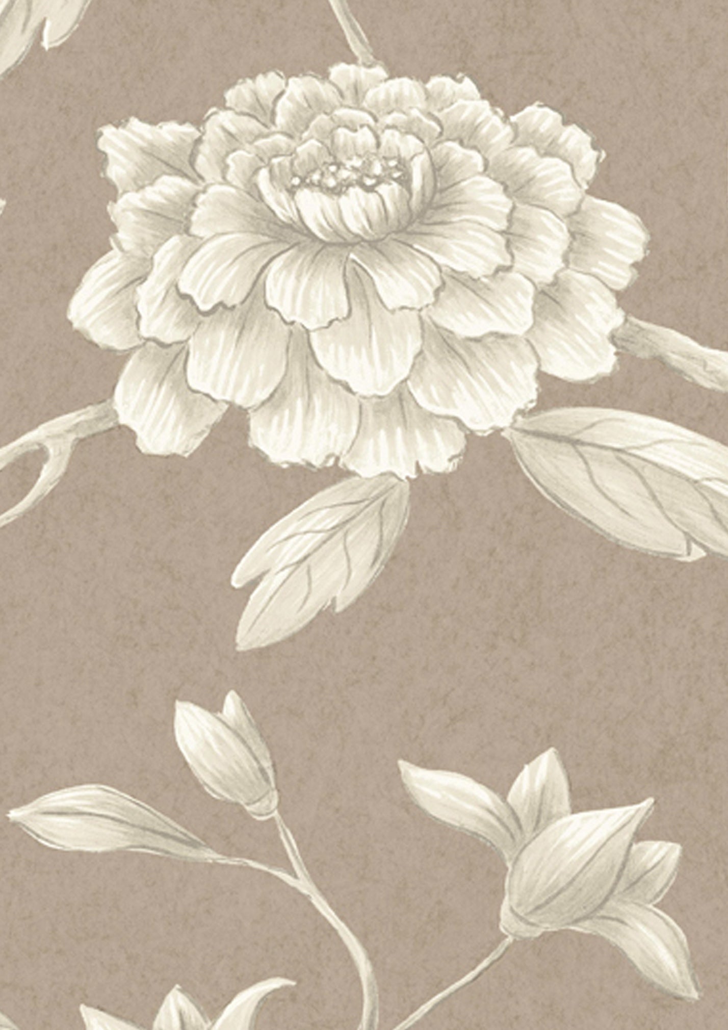 Jasper Peony Wallpaper - Cocoa Rose - Lewis & Wood - Premier Wallcovering