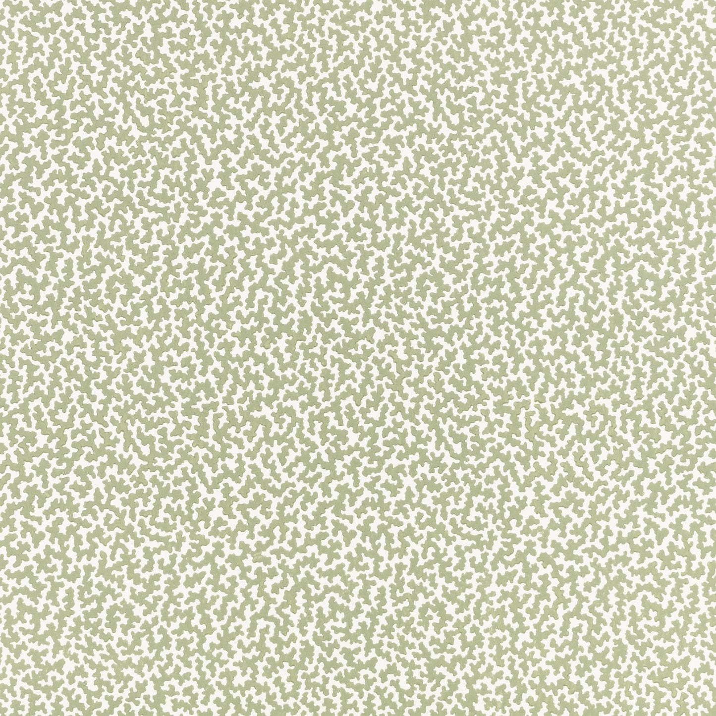 Junie Wallpaper - Aloe - Romo - Aubin - W476/06 - Premier Wallcovering