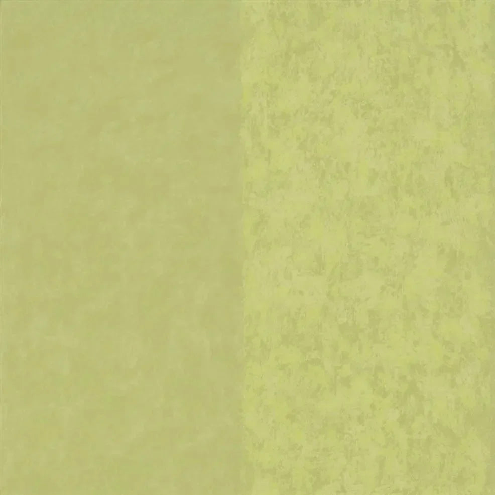 Kalpana Wallpaper - Moss - P576/15 - Designers Guild