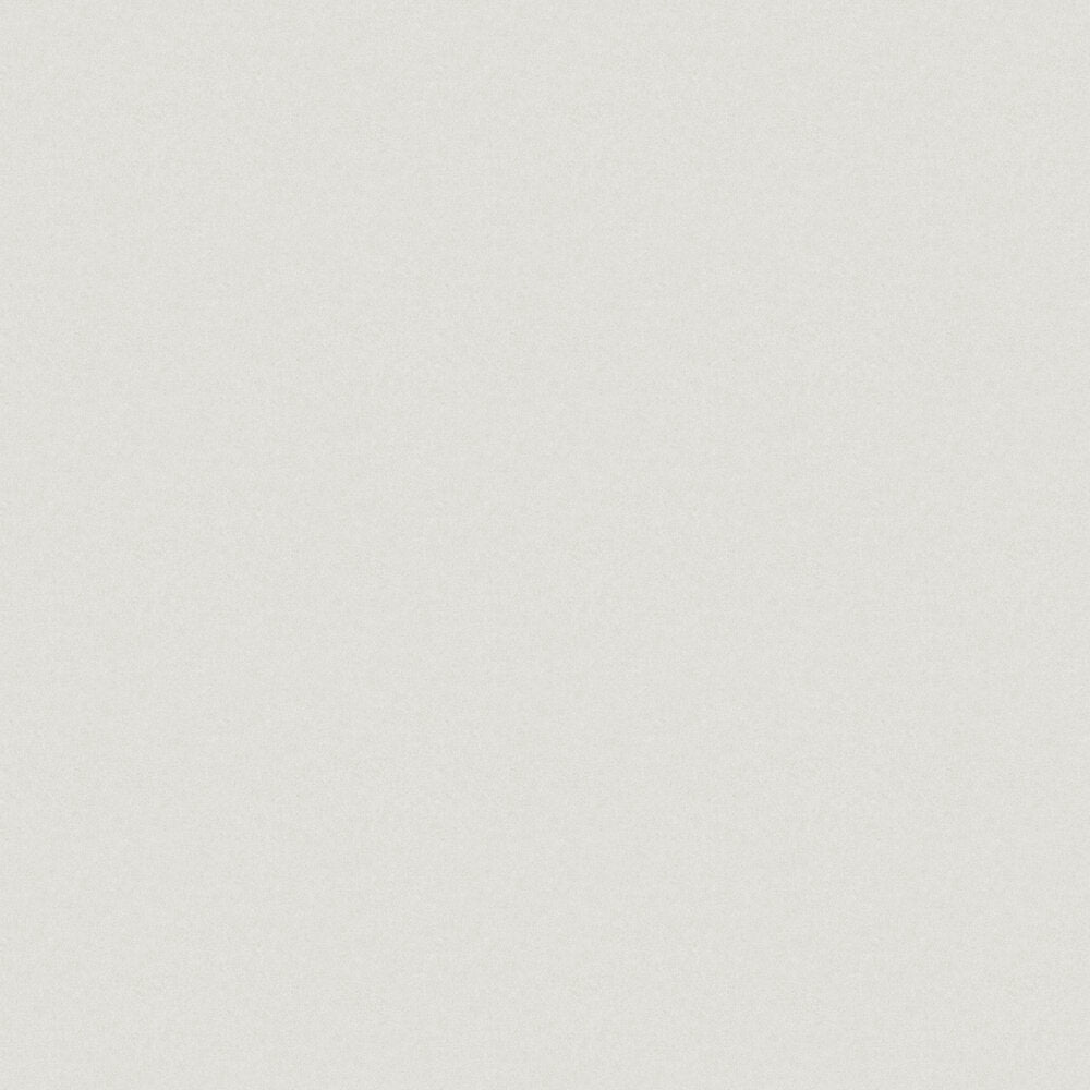Kim Wallpaper - Cloud Grey - Boråstapeter - 38702 - Premier Wallcovering