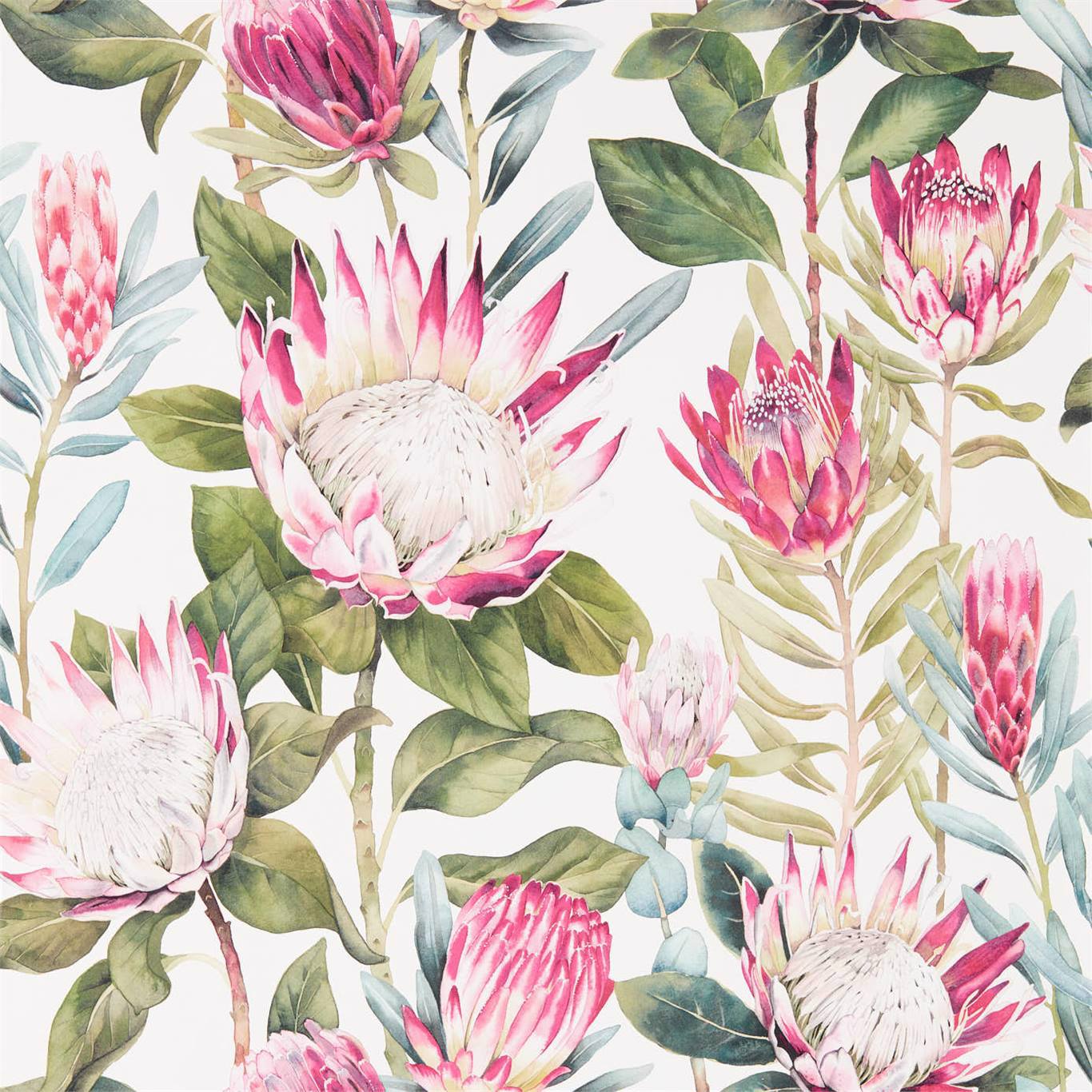 King Protea Wallpaper - Rhodera/Cream - Sanderson - DGLW216646
