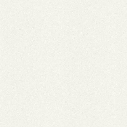 Kyoto Crepe Wallpaper - Warm White - Boråstapeter - 3135 - Premier Wallcovering