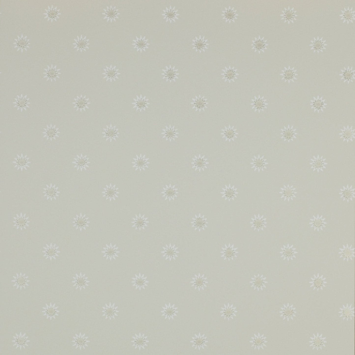 Larissa Wallpaper - Silver - Colefax & Fowler - 07131/05