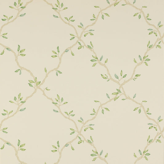 Leaf Trellis Wallpaper - Pale Green - Colefax & Fowler - 07706/02