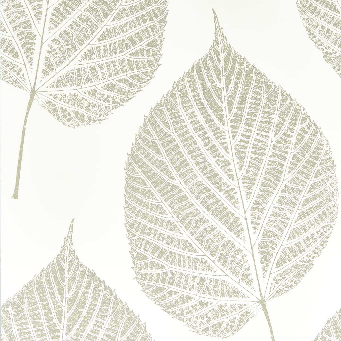 Leaf Wallpaper - Chalk/Silver - Harlequin - HTEW112609 - Premier Wallcovering