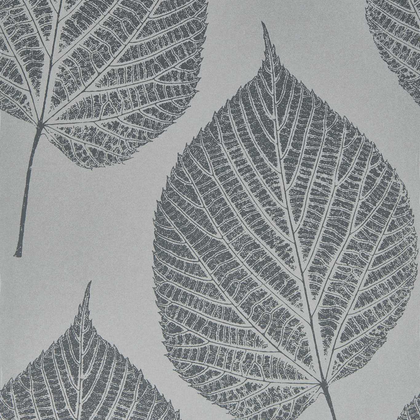 Leaf Wallpaper - Slate/Silver - Harlequin - HTEW112608 - Premier Wallcovering
