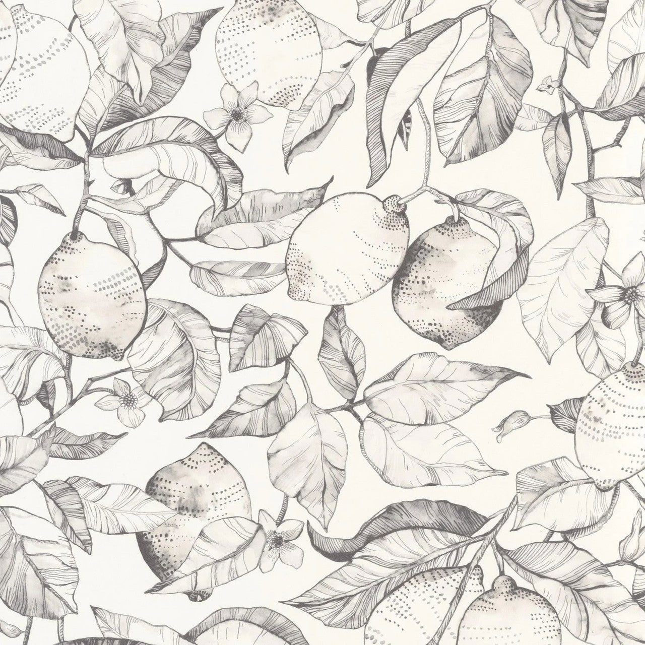 Lemon Tree Soliflore Wallpaper - Fusain - Casadeco - 200270900 - Premier Wallcovering