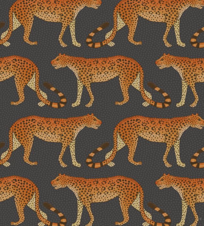 Leopard Walk Wallpaper - Burnt Orange on Charcoal - 109/2008 - Cole & Son - Premier Wallcovering