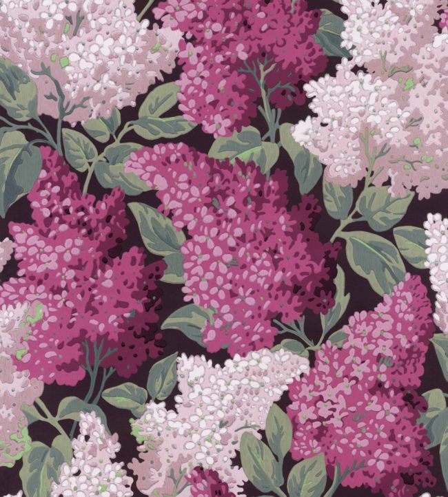 Lilac Grandiflora Wallpaper - Magenta & Blush on Charcoal - 115/15045 - Cole & Son - Premier Wallcovering