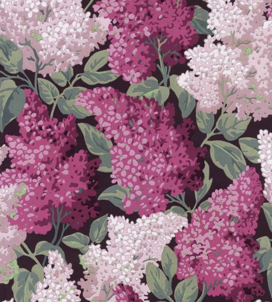 Lilac Grandiflora Wallpaper - Magenta & Blush on Charcoal - 115/15045 - Cole & Son - Premier Wallcovering
