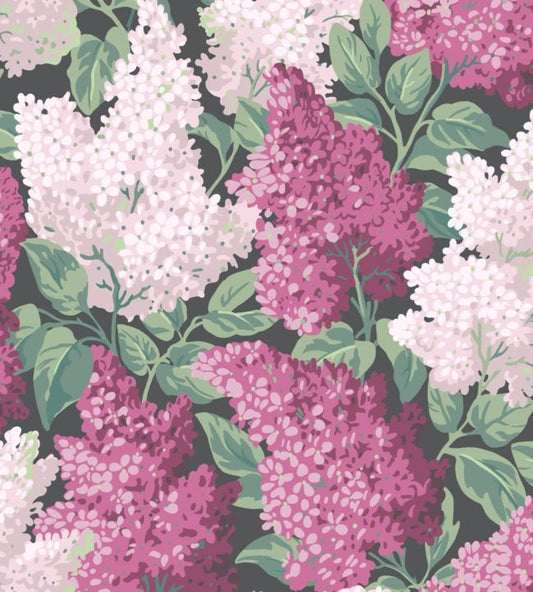 Lilac Wallpaper - Magenta & Blush on Charcoal - 115/1001 - Cole & Son - Premier Wallcovering