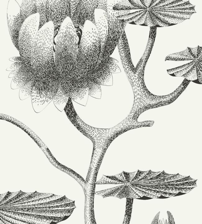 Lily Wallpaper - Black on White - 95/4020 - Cole & Son - Premier Wallcovering