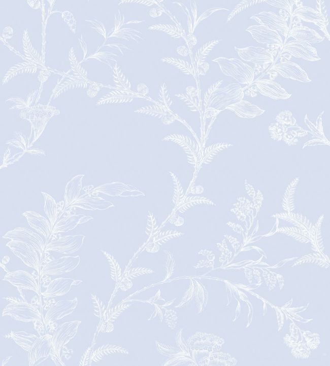 Ludlow Wallpaper - Chalk on Powder Blue - 88/1002 - Cole & Son - Premier Wallcovering