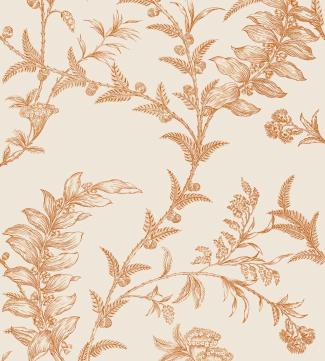 Ludlow Wallpaper - Metallic Copper on Dark Parchment - 88/1003 - Cole & Son - Premier Wallcovering