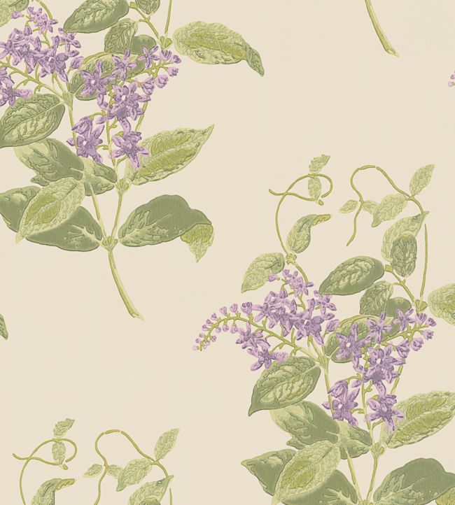 Madras Violet Wallpaper - Purple & Olive on Cream - 100/12056 - Cole & Son - Premier Wallcovering