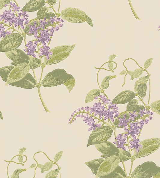 Madras Violet Wallpaper - Purple & Olive on Cream - 100/12056 - Cole & Son - Premier Wallcovering