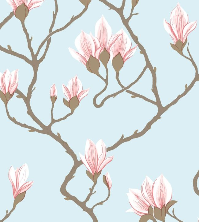 Magnolia Wallpaper - Rose on Sky Blue - 72/3011 - Cole & Son - Premier Wallcovering
