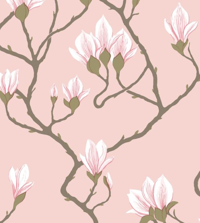 Magnolia Wallpaper - Rose on Blush - 72/3009 - Cole & Son - Premier Wallcovering