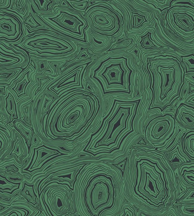 Malachite Wallpaper - Emerald & Black - 114/17035 - Cole & Son - Premier Wallcovering